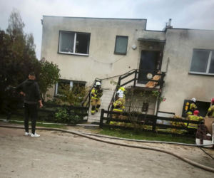 Dzielna druhna uratowała kota