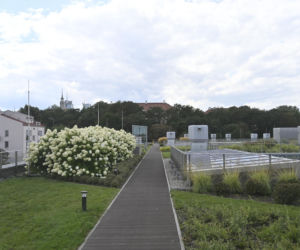 Podbniene ogrody w stolicy zachwycają