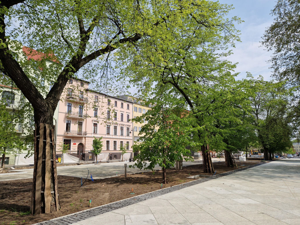 Tak teraz wygląda plac Wolności w Bydgoszczy. Powrót kwiaciarek ponownie opóźniony