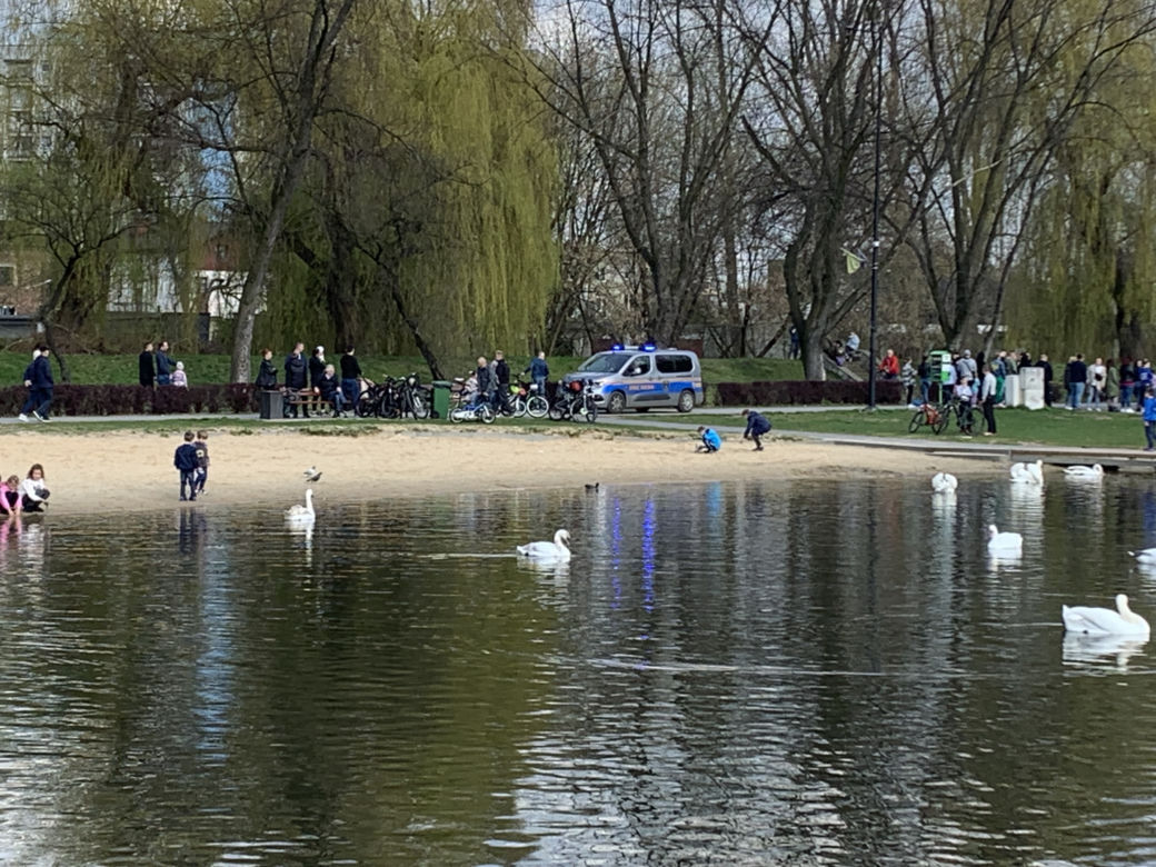 Stawiki w Sosnowcu budzą się do życia na wiosnę