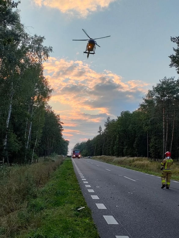 Wypadek pod Kościanem. Zderzenie samochodu z jeleniem doprowadziło do czołówki