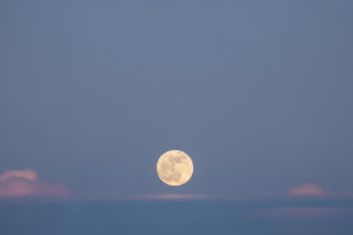 Pełnia Robaczego Księżyca. Jedyna taka okazja do obserwacji w marcu?