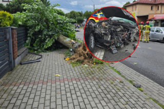 Koszmarny wypadek na Śląsku. Auto z impetem wyrwało drzewo z korzeniami!