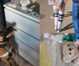 Białystok. Policja WKROCZYŁA do mieszkania. Narkotyki w pluszowym misiu i w bieliźnie 23-latki