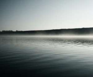 Ciało kobiety wyłowiono ze stawu w Wielkopolsce. Co wydarzyło się w Kocewii?