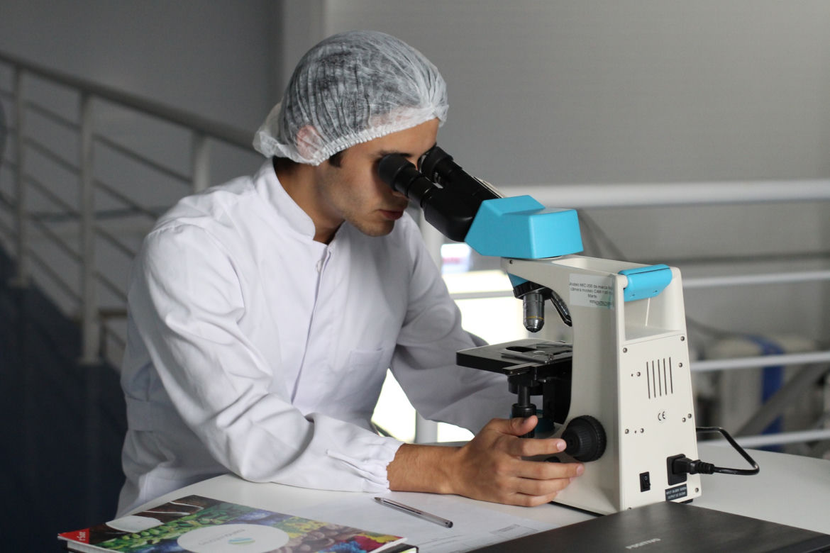 Działalność profesjonalna, naukowa i techniczna