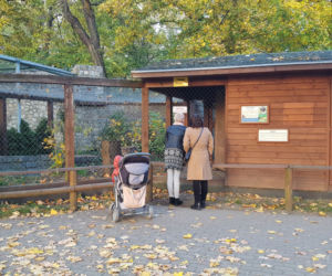 Park 1000-lecia w Lesznie na chwilę przed zachodem słońca