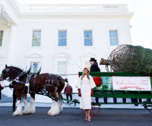 Melania Trump udekorowała Biały Dom. Święta lepsze niż za Bidena?