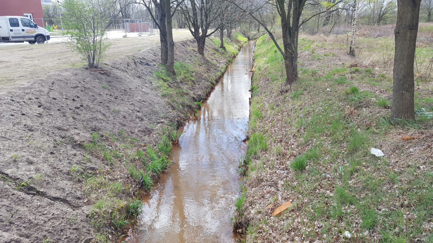 Śmierdząca rzeczka na Maślicach