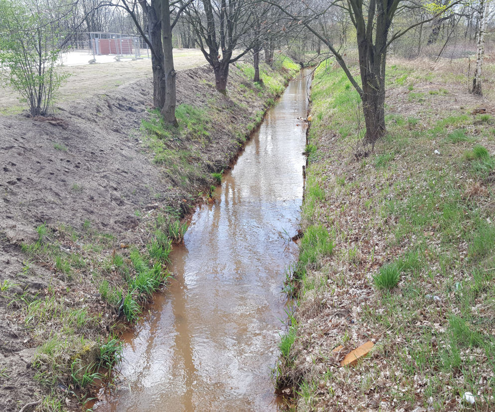 Śmierdząca rzeczka na Maślicach