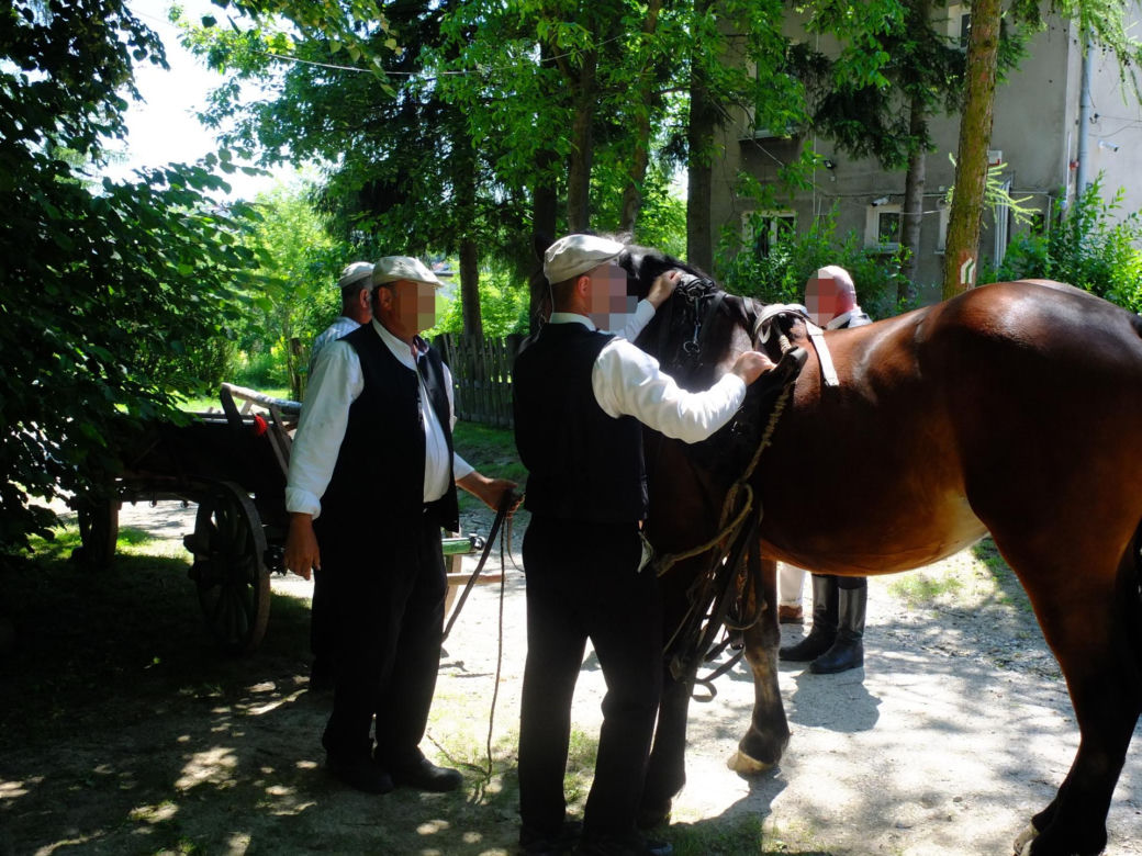 Jarmark Koński w Muzeum Wsi Lubelskiej. Ostre targowanie, próba uciągu i lit-kup na dyszlu [ZDJĘCIA, WIDEO]