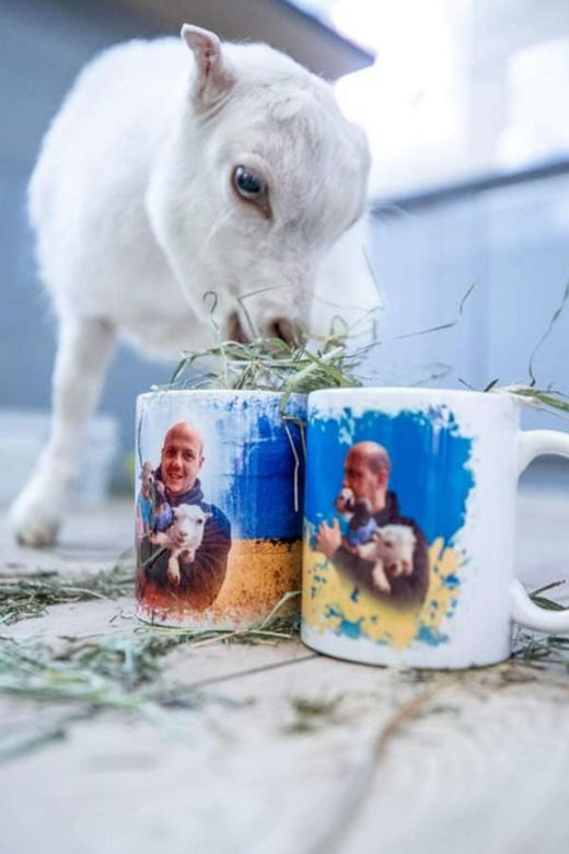 Sasza je siano ze specjalnych kubków