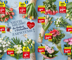 Super promocje w Lidlu