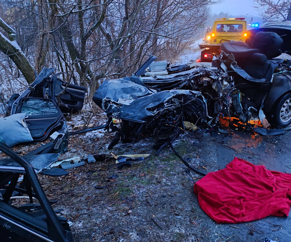 Koszmarny wypadek w Landku. 21-letni kierowca zginął na miejscu