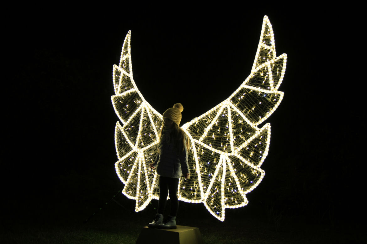Park iluminacji „Tajemniczy Ogród” w Lublinie