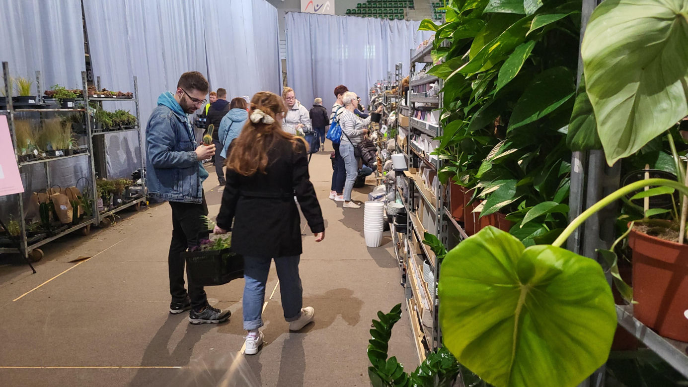 Bydgoszcz rozkwitła zielenią w "Łuczniczce". Tak było na Festiwalu Roślin