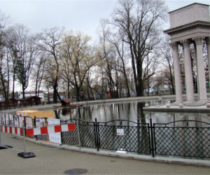 Łabędzica wysiaduje cztery jaja! Uroczy widok w Parku Strzeleckim. Mamy zdjęcia!