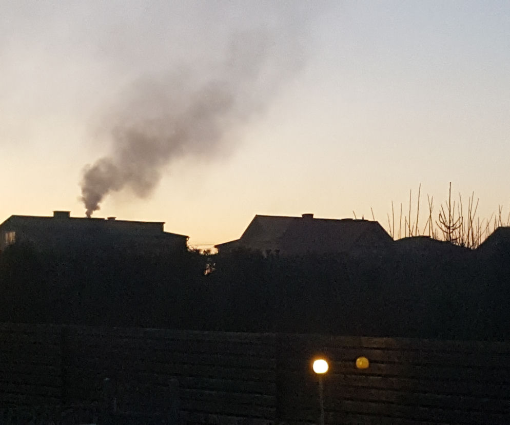 Jednym z adresatów petycji jest gmina Zielonki