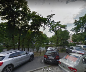 Nad Prosną w centrum Kalisza wycięto robinie akacjowe