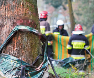 Siedmioro dzieciaków zginęło na drzewie. Serca rodziców krwawią od 12 lat