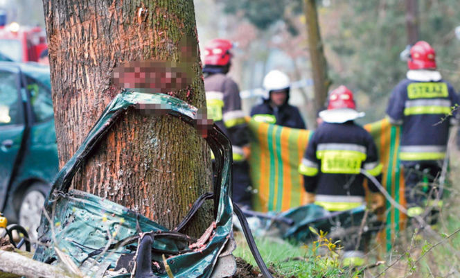 Siedmioro dzieciaków zginęło na drzewie. Serca rodziców krwawią od 12 lat