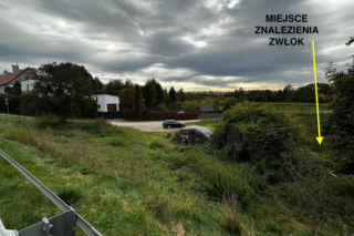 Zaginęła 11 dni wcześniej. Ciało znaleziono 130 metrów od domu matki