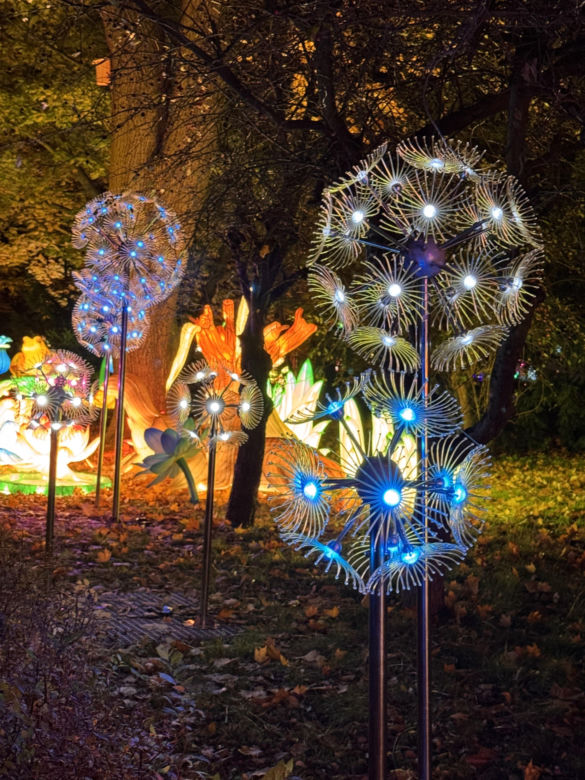 Garden of Lights we Wrocławiu