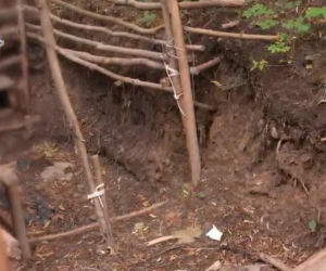 Ciało wywiozła wózkiem dziecięcym do lasu. Przysypała je ziemią i liśćmi