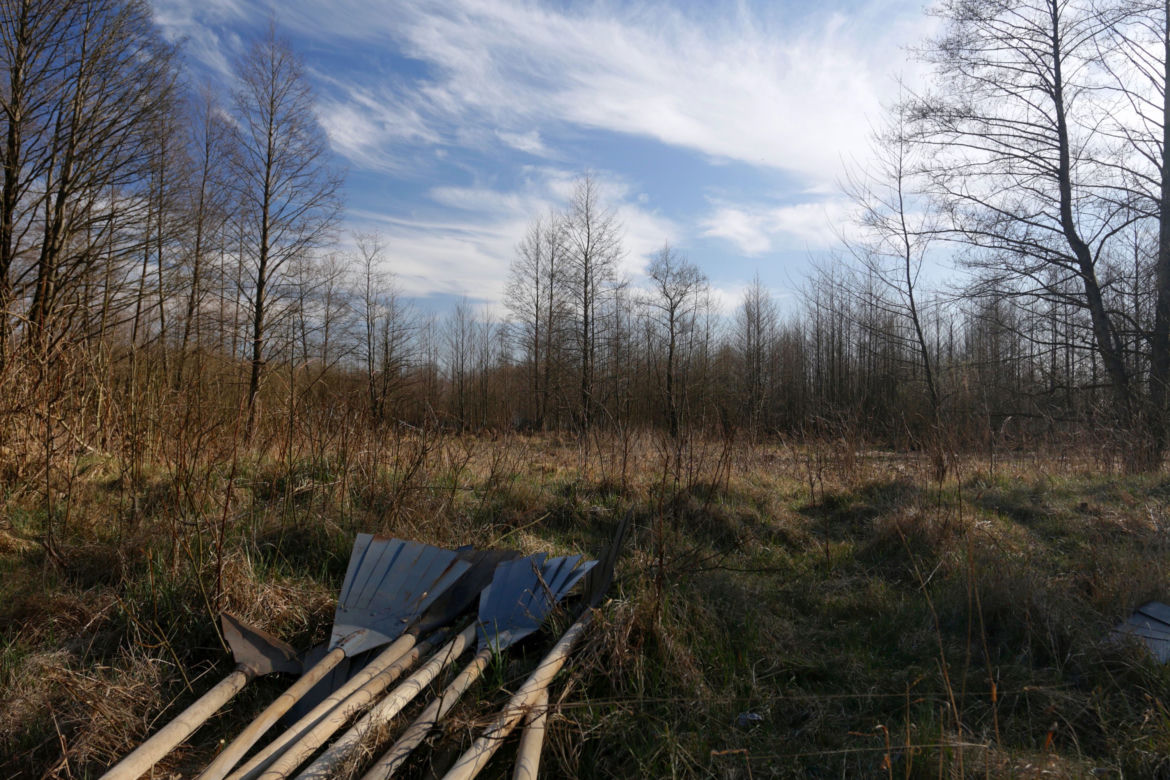 Biebrzański Park Narodowy UGASZONY. Zobacz, jakie zniszczenia spowodował ogień