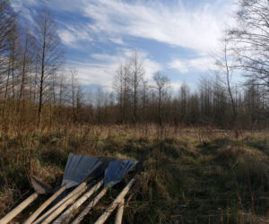 Biebrzański Park Narodowy UGASZONY. Zobacz, jakie zniszczenia spowodował ogień