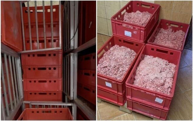 Akcja ratunkowa w likwidowanym schronisku Kocham Psisko w Mąkosach Nowych