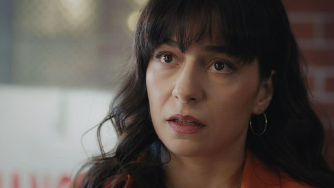 Dziedzictwo, odc. 883. Sibel