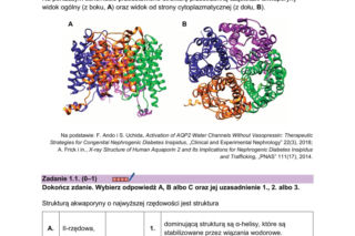 Próbna matura 2026 z biologii: Arkusze CKE, pytania i sugerowane odpowiedzi [14.01.2026]