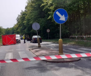 Piękna Agata zginęła przechodząc przez pasy