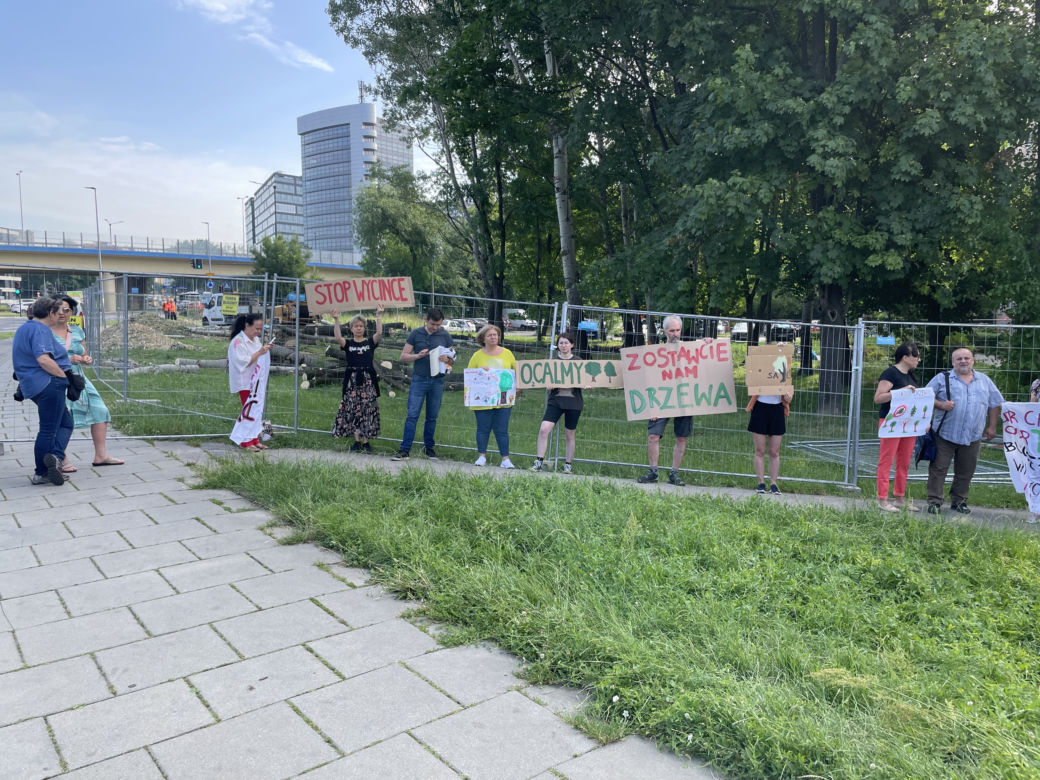 Linia tramwajowa do Mistrzejowic. Protest ws. wycinki drzew w Krakowie