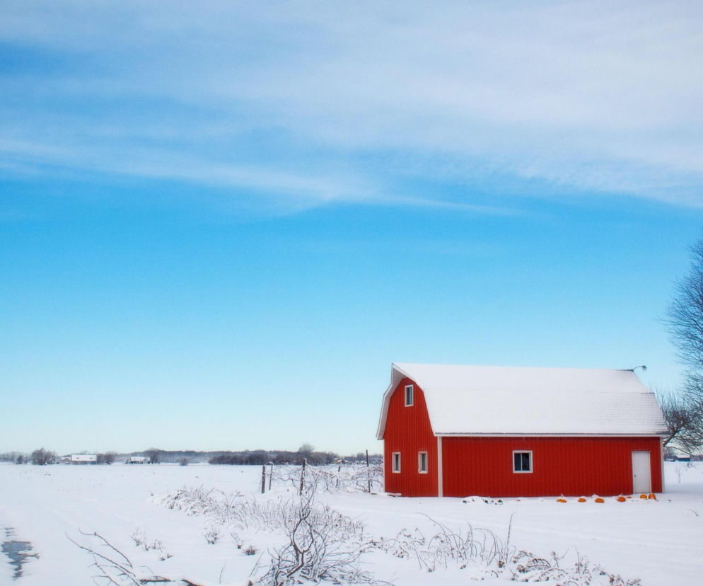 Wirzchóła Nagórna. 55-latek stratowany przez byki. Następnego dnia znaleziono ciało jego krewnego