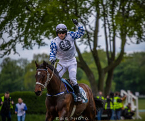 Wrocławski Tor Wyścigów Konnych - otwarcie sezonu 2019