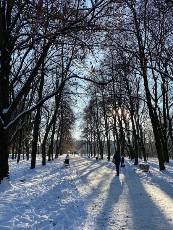 Śnieżna zima w Parku Praskim