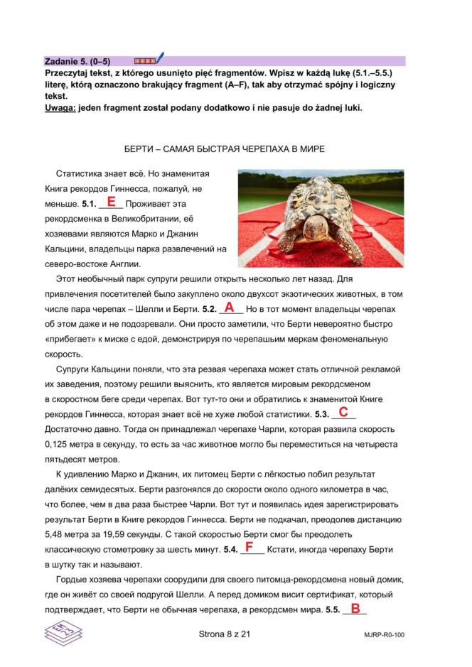 Matura 2026 rosyjski ROZSZERZONY: Arkusze CKE i odpowiedzi - sprawdź, czy zdałeś! 11.05.2026