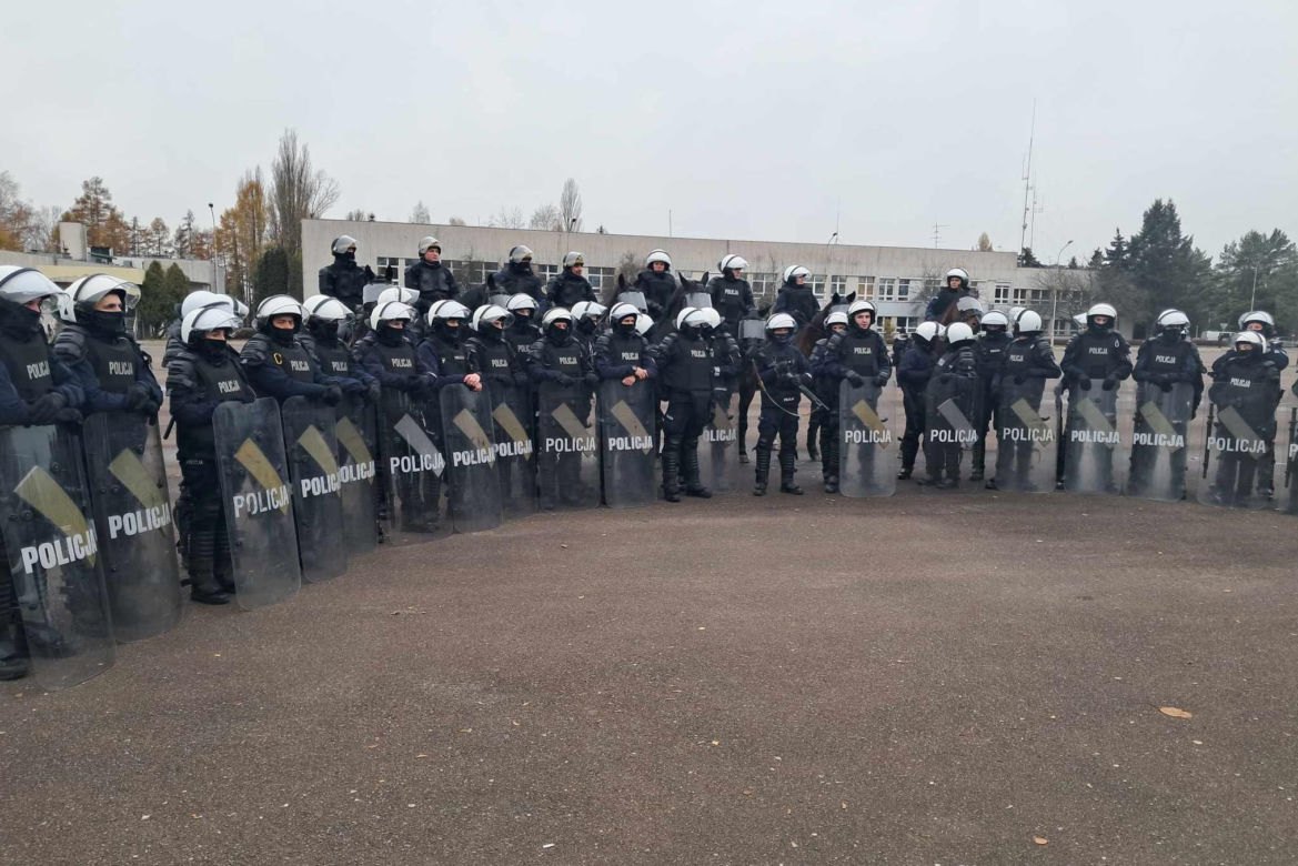 Atestacja koni służących w łódzkiej policji i straży miejskiej