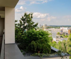 Damrota Garden - apartamentowiec w Katowicach z drzewami na fasadzie i dachu - czerwiec 2026