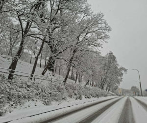 Atak zimy w Świętokrzyskiem. Śnieg i trudne warunki drogowe 23 Listopada 2025