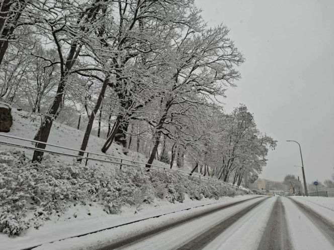 Atak zimy w Świętokrzyskiem. Śnieg i trudne warunki drogowe 23 Listopada 2025