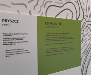 Wystawy w Centrum Innowacyjnej Edukacji w Toruniu