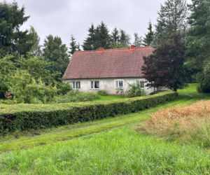 Zabił rodziców. Nie trafi za kratki