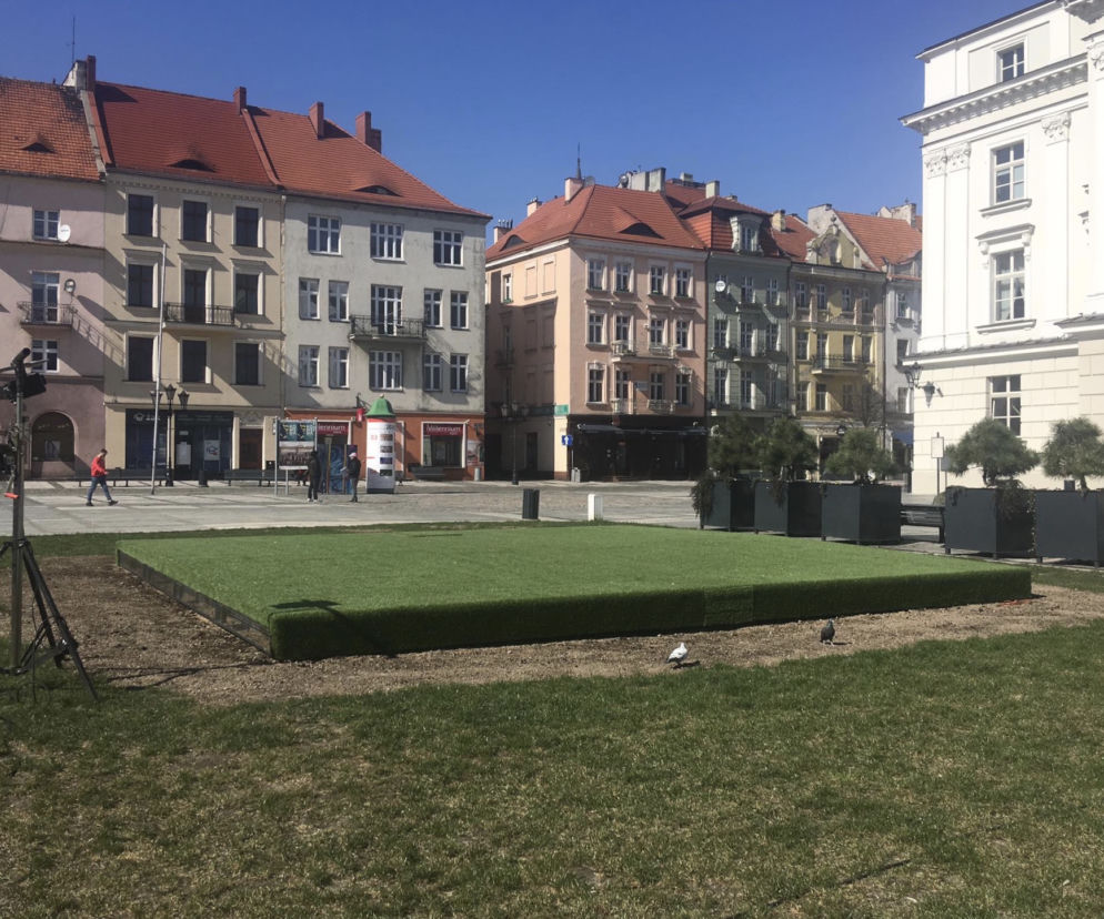 Trawnik wokół kaliskiej dziurelli uwolniony