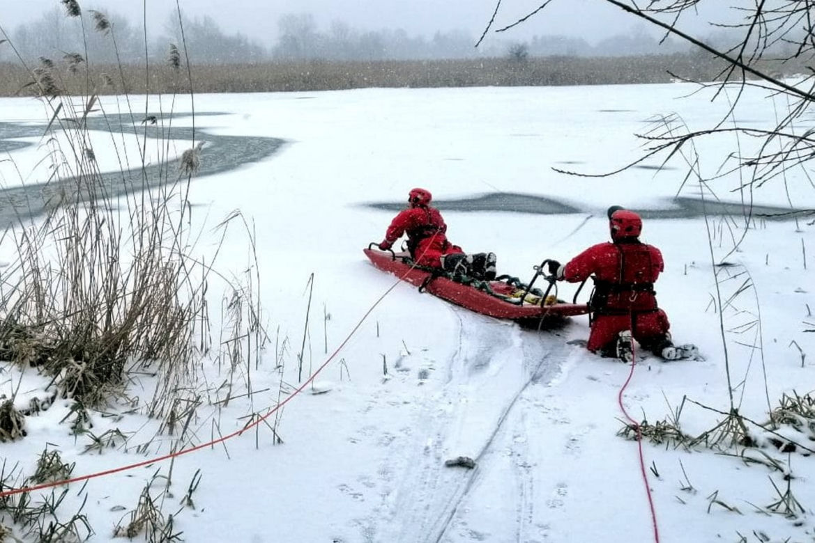 Strażacy uratowali sarnę pod którą załamał się lód