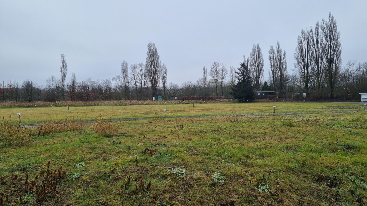 Park Kasprowicza. W tym miejscu powstanie nowa hala sportowa w Poznaniu?