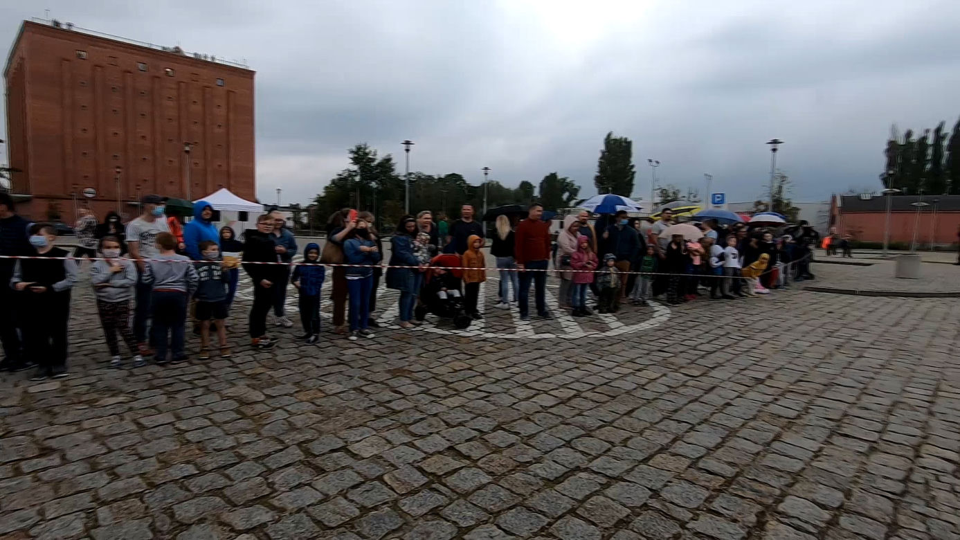 Pasta dla słonia w Toruniu