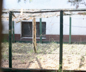 Tak teraz wygląda dom Jarosława Kaczyńskiego